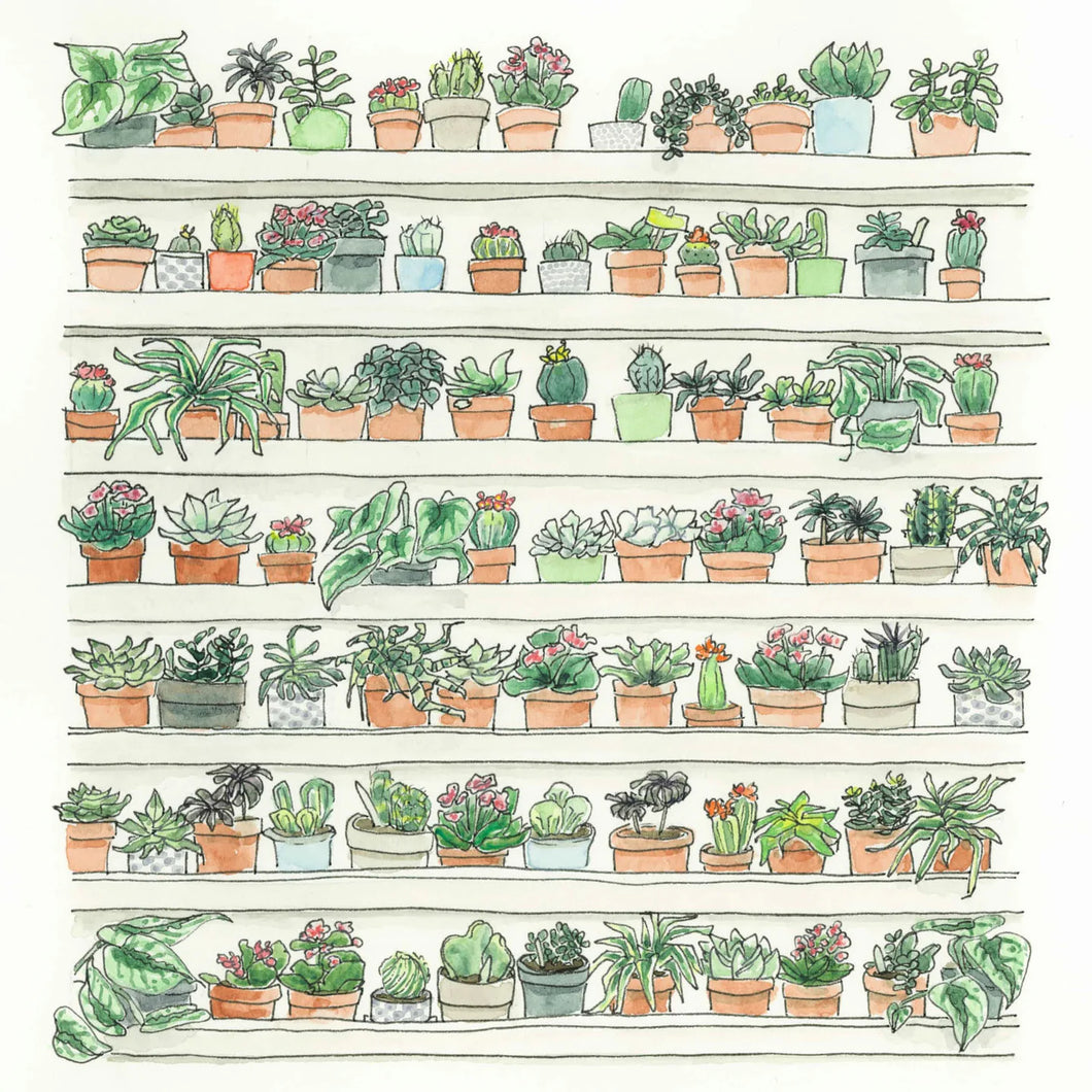 Plant Wall Card